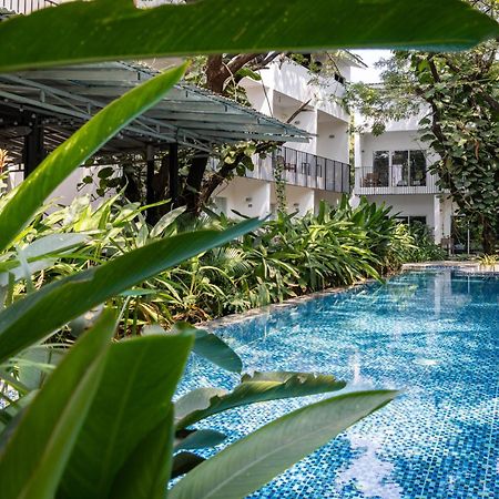 Pippali Boutique Hotel Kampot Eksteriør billede